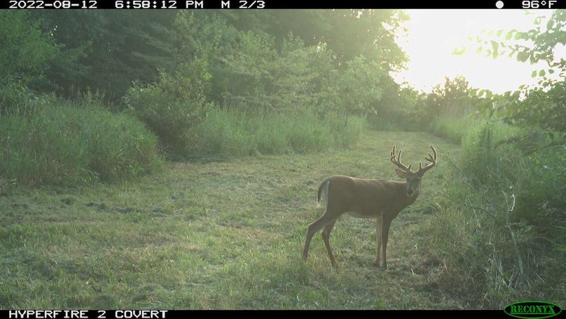 2022-08-12 18-58-12 M 2_3