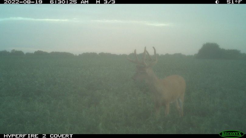 2022-08-19 06-30-25 M 3_3