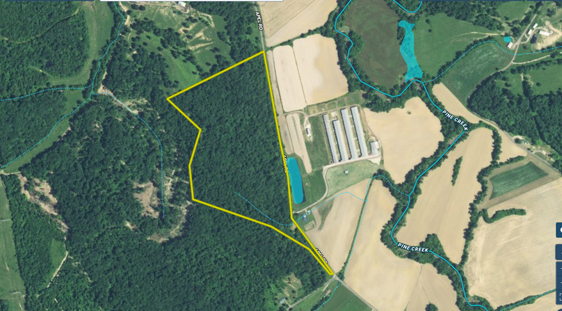 Screen Shot 2022-05-18 at 8.36.16 PM