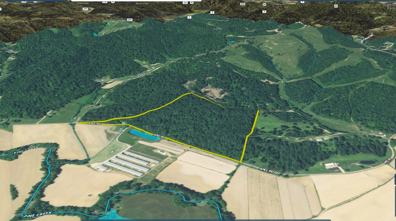 Screen Shot 2022-05-18 at 8.37.38 PM