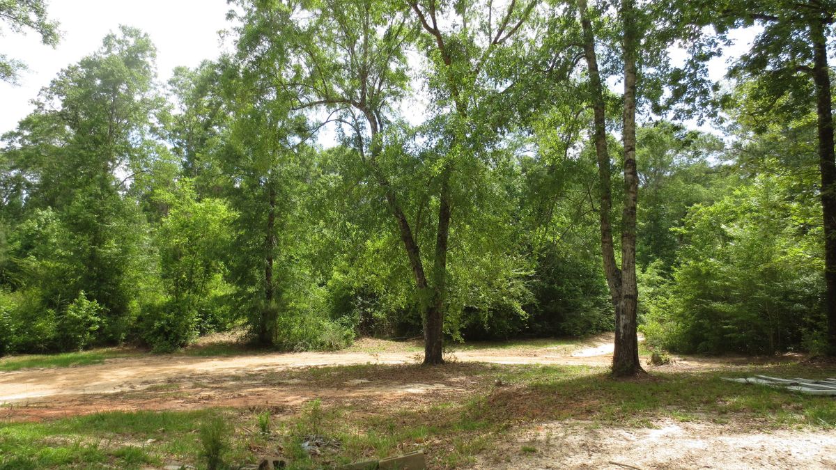 Small Tract That Borders National Forest Whitetail Properties