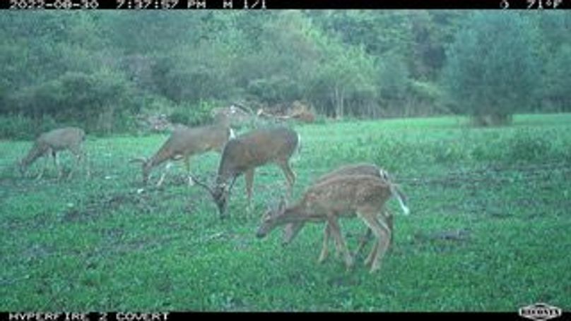 MBL_1636