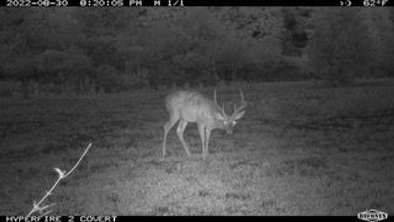 MBL_1647