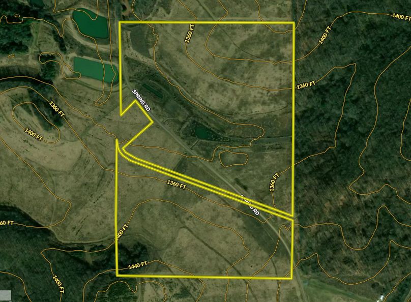 Screen Shot 2022-03-03 at 8.16.15 AM