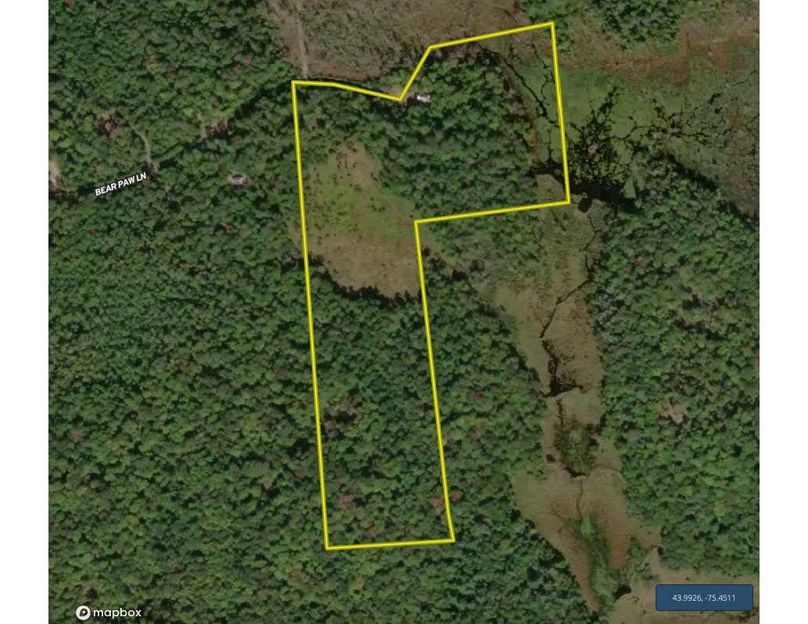 Osipovitch 21 Google