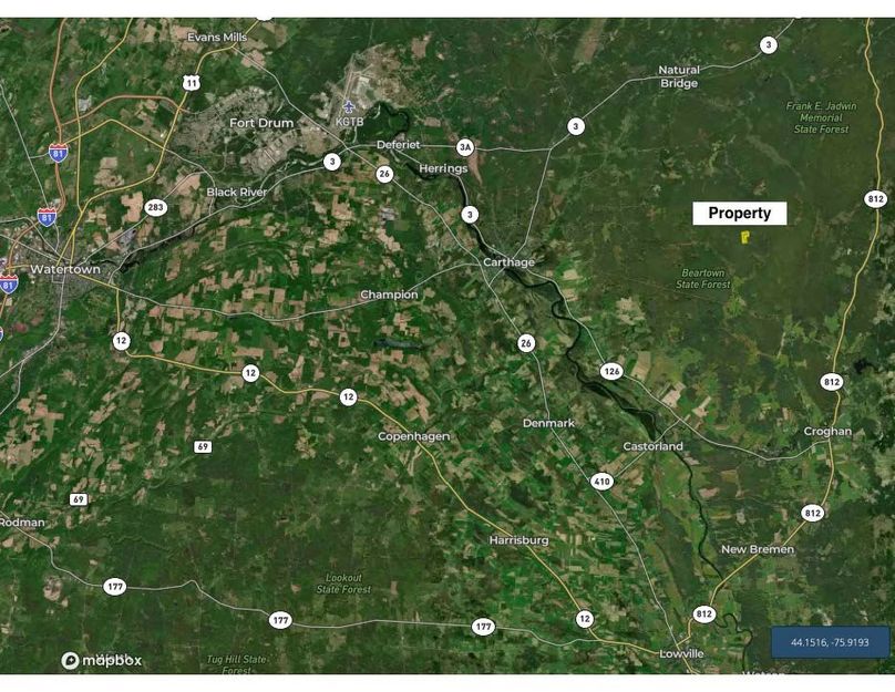 Osipovitch 21 Wide View