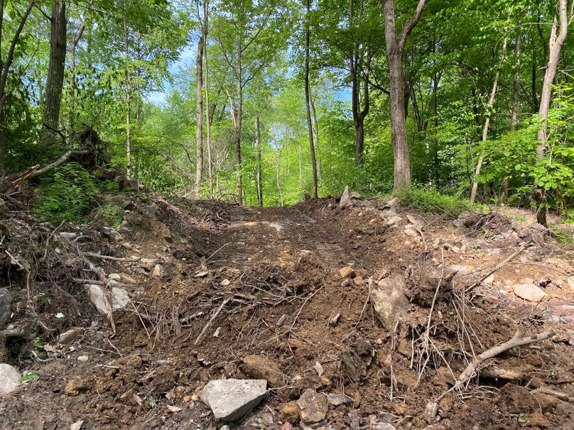 67518023192__0DCE4A96-E001-4761-82C4-4D7F2FA8114C