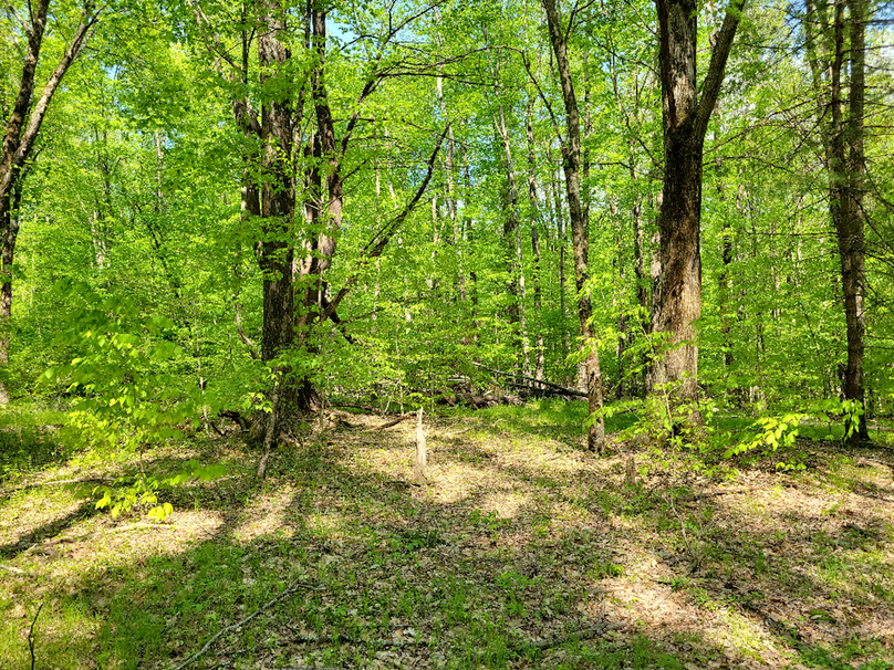 photo_26000000