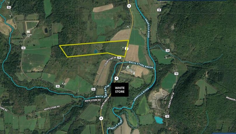 Chenango 50 Weidman Wide Area