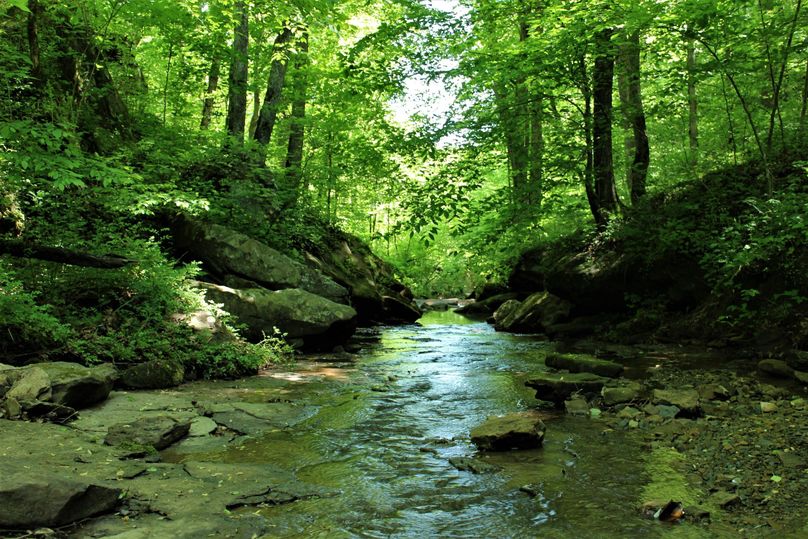 004 cool rock bottom stream flowing through the property