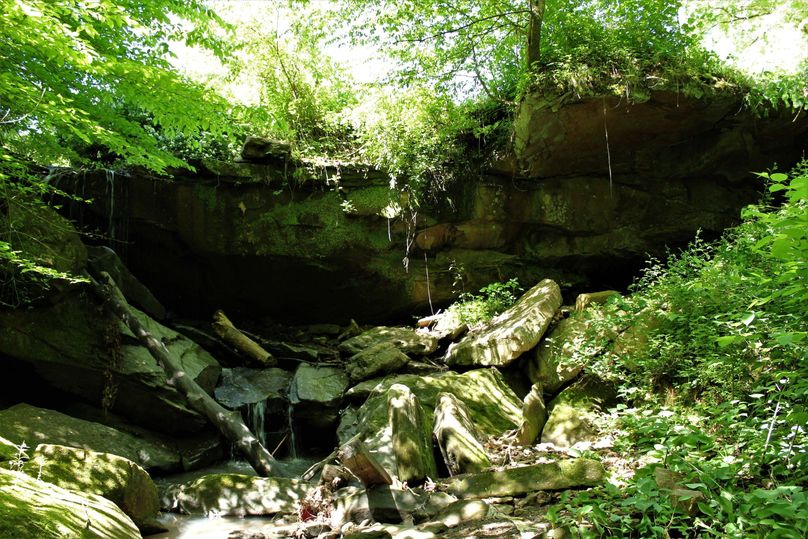 009 the actual waterfall on the south edge of the property
