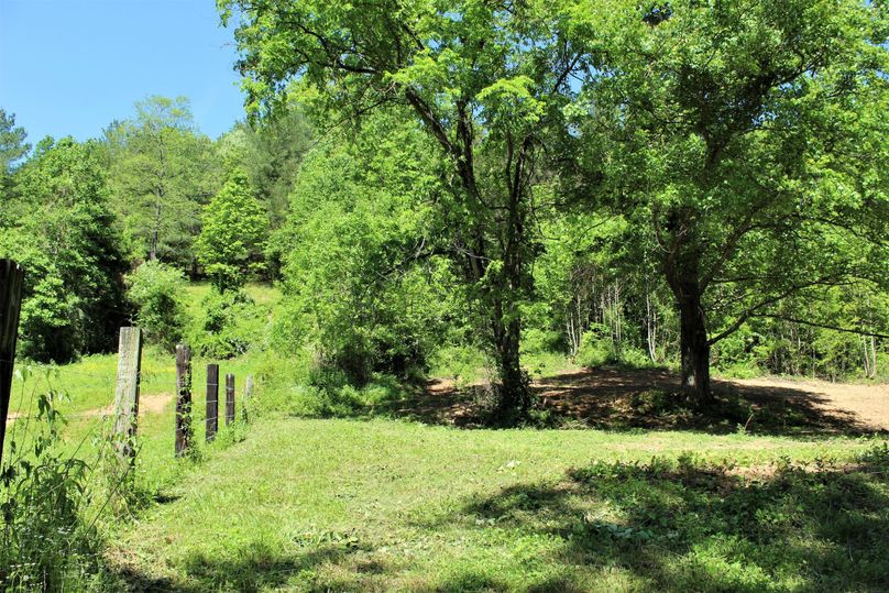 011 the open flat ground along the south boundary