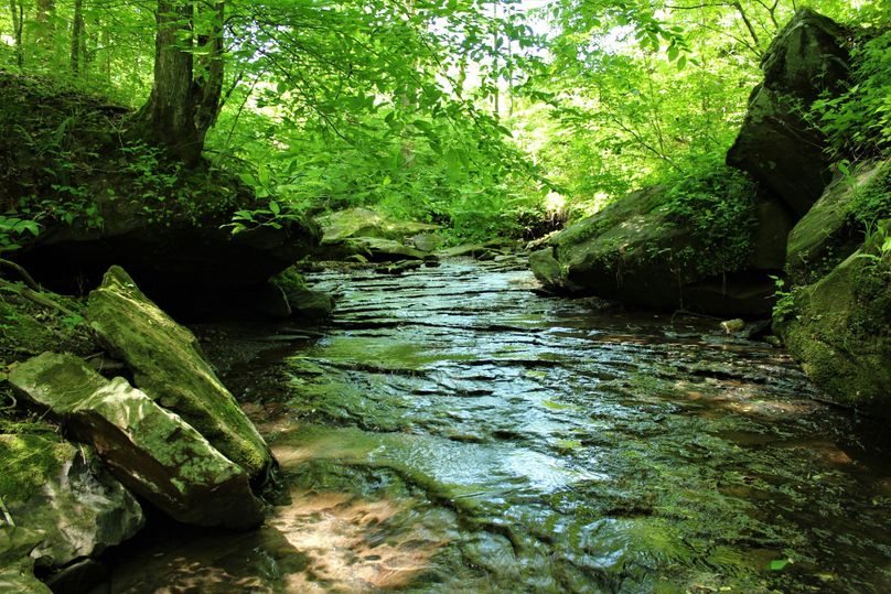 018 a view of the rock bottom creek flowing to the north toward the river