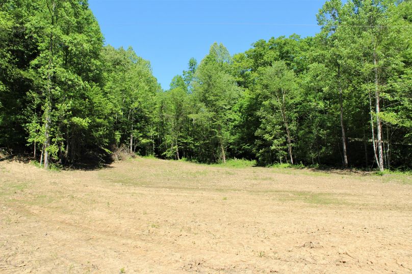 006 one of the open cabin spots just off the county gravel road