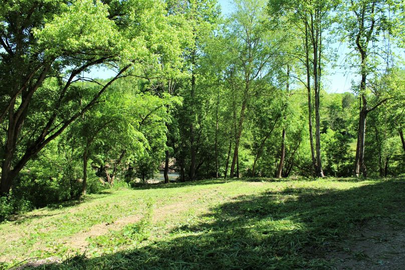 003 one of the ideal spots to build that cabin along the river