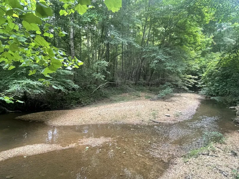 75 Marion Miles Photo