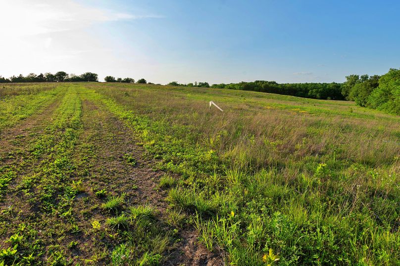 Harrison MO 480 Pro Photo_177 (17)