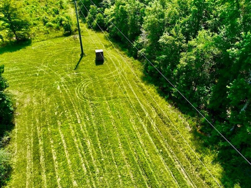 46B655A7-7114-48FD-93A0-4055BB598EEC_1_105_c