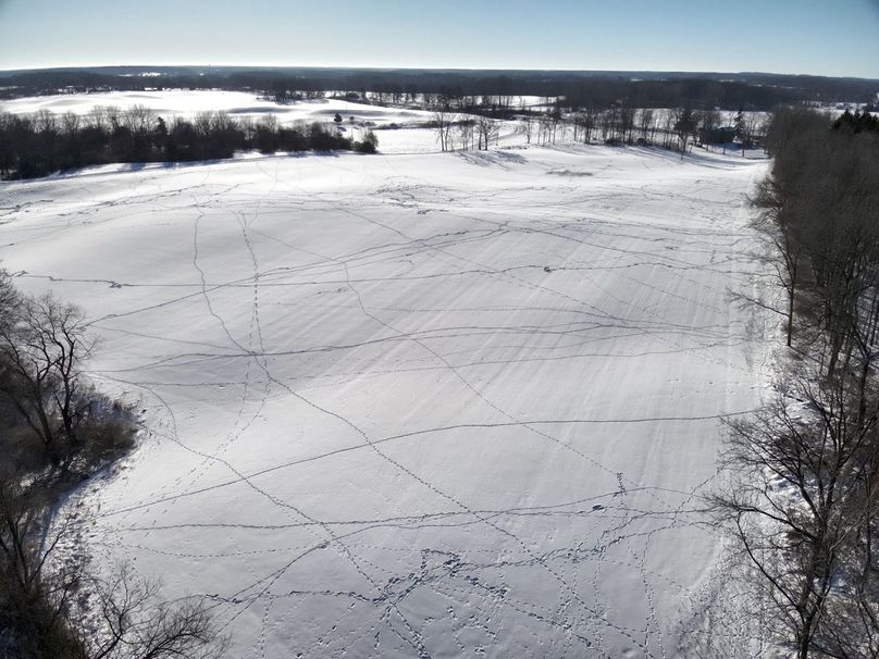 2.Copy of Tract 1 SW field Looking south tracks Large