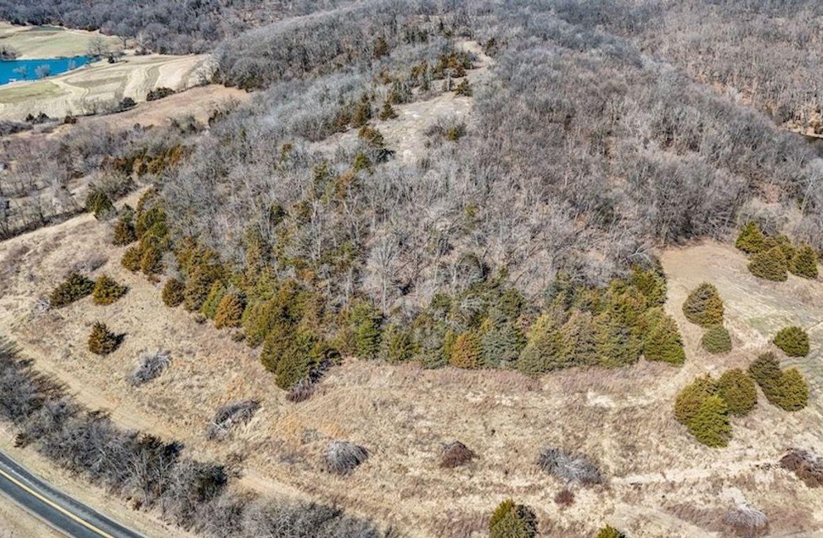 DJI_20250308112957_0015_D-2