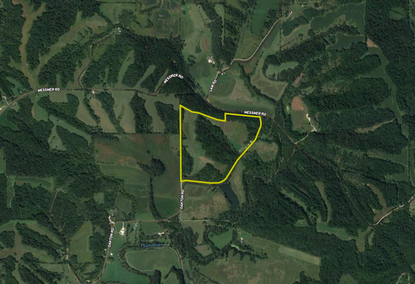 Screen Shot 2022-07-14 at 11.01.20 AM