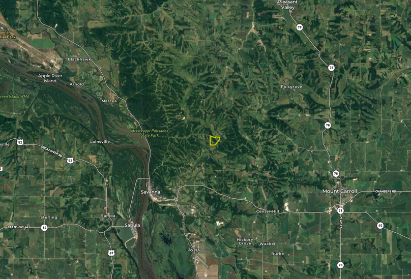 Screen Shot 2022-07-14 at 11.01.11 AM