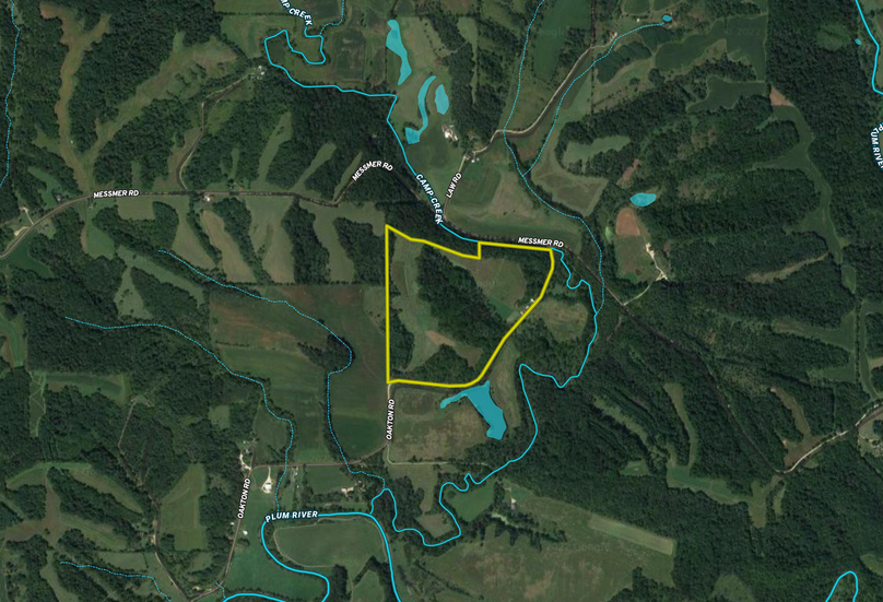 Screen Shot 2022-07-14 at 11.00.46 AM