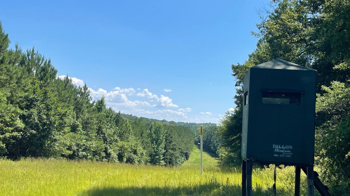 Great Timber Investment Property With Outstanding Hunting Whitetail