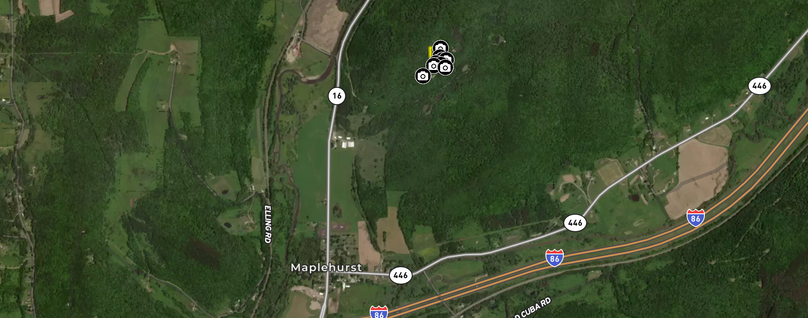 4 Screen Shot 2022-07-16 at 6.05.13 PM