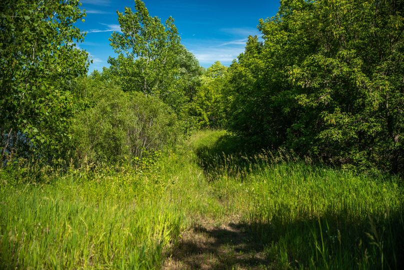 4 Trail system around lake