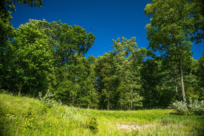 3 Timber on the East side