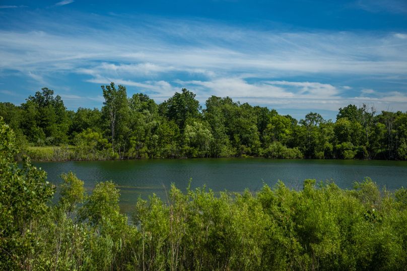6 Looking East from drive
