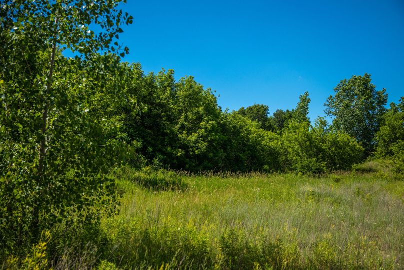 8 Grassy areas would make great food plots or developed into more tillable