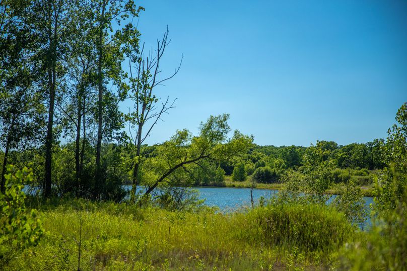 12 East side of the lake looking West