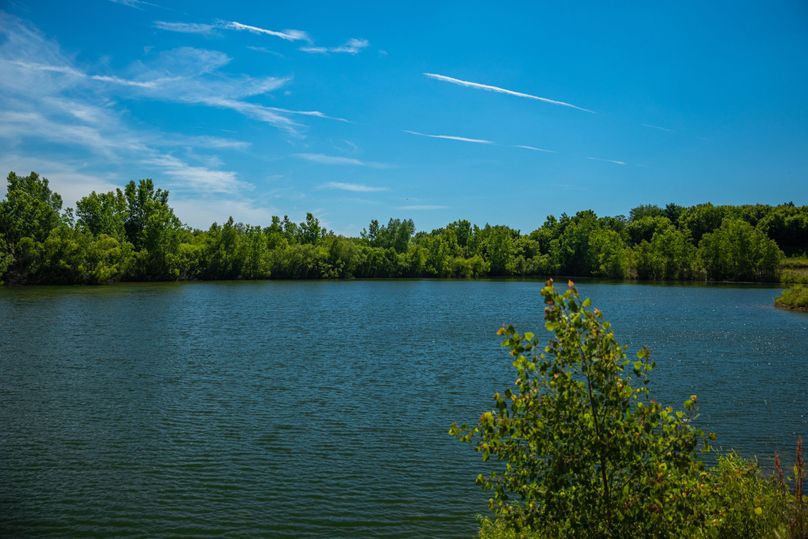 7 South end of the lake