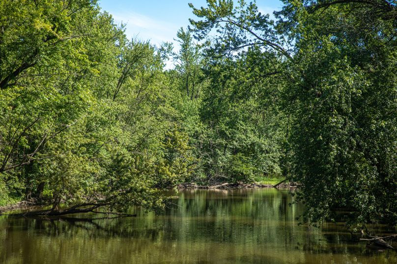 20 Maple River along Maple River State GAme Area