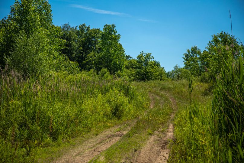 15 Trail leading around the lake