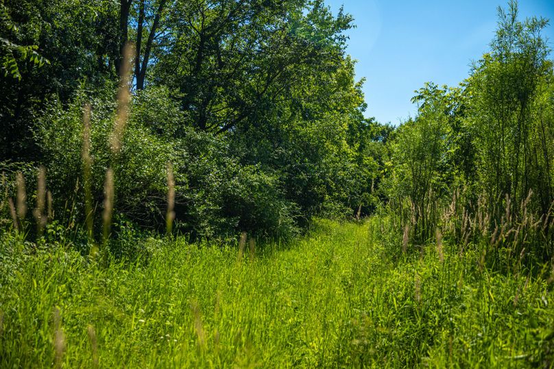 11 Trail along East side of the lake
