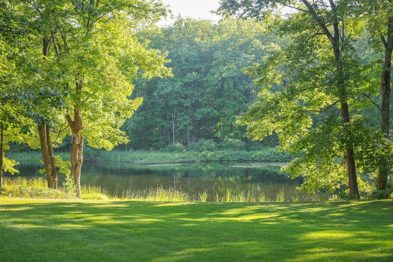 3 View of large pond from patio