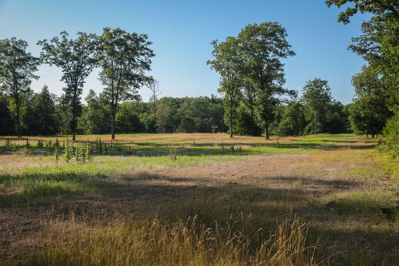 58 Open grassy areas could be used as pasture, tilled or left to enjoy