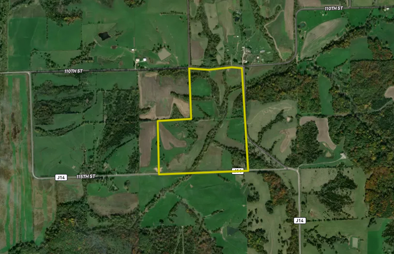 Screen Shot 2022-07-19 at 8.11.13 AM