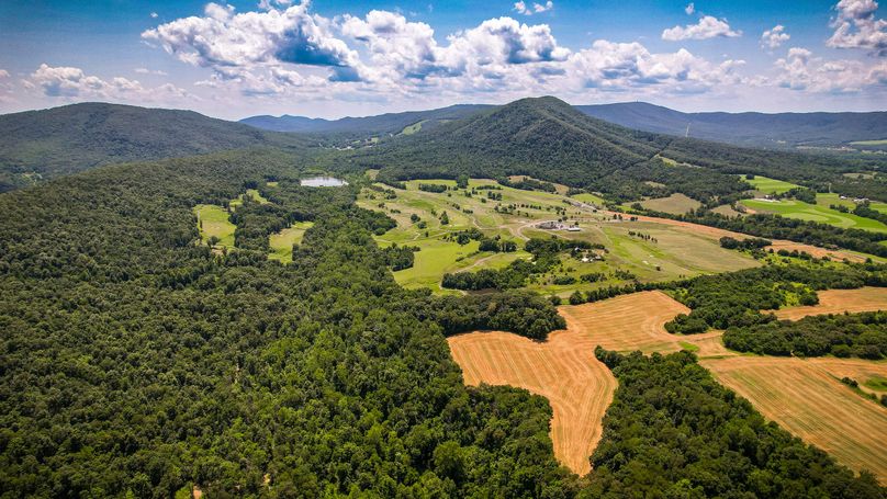 Blair Valley Road-6