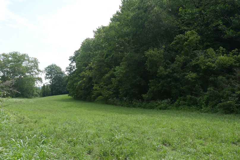 P3210348