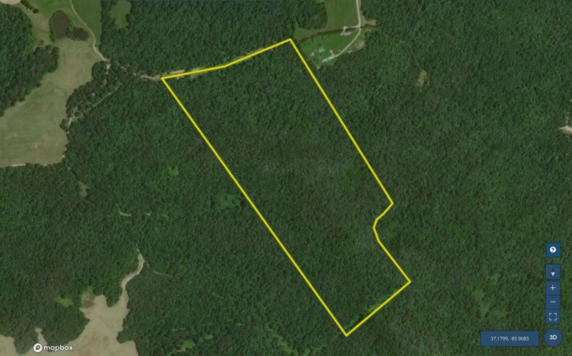 Screen Shot 2022-07-20 at 10.22.41 AM