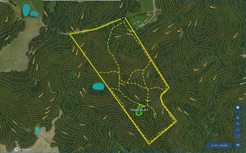 Screen Shot 2022-07-20 at 10.22.16 AM