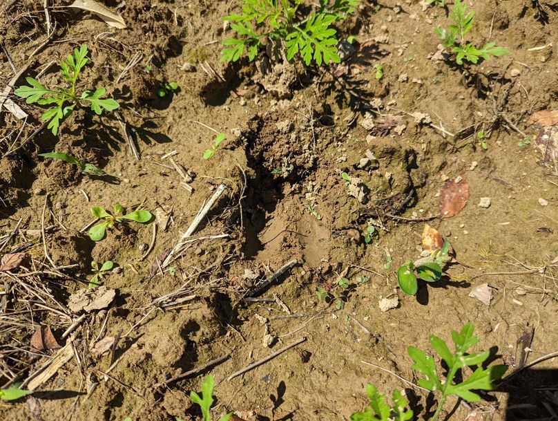 PXL_20220719_154156674