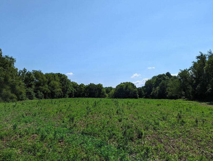 PXL_20220719_154001537