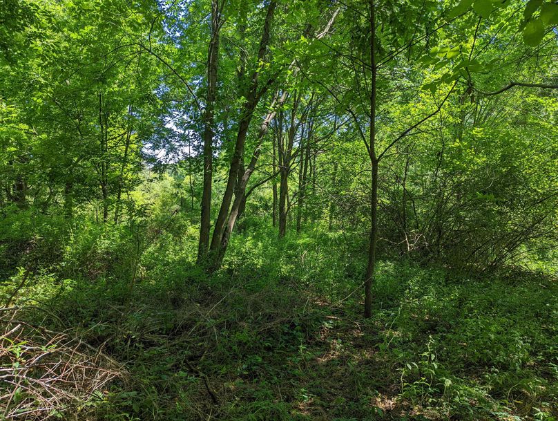 PXL_20220719_154740743