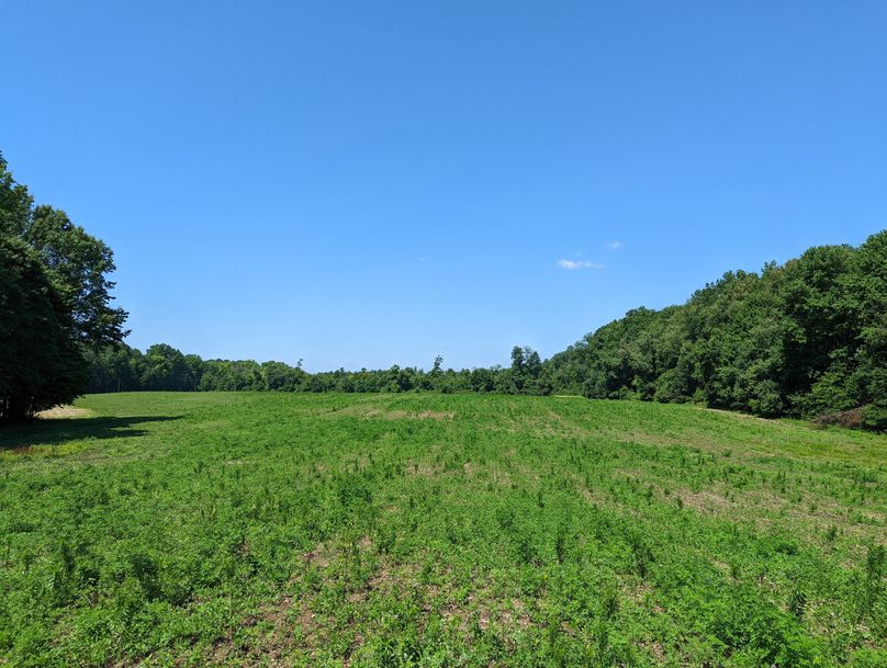 PXL_20220719_154007420