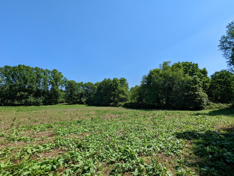 PXL_20220719_154420403